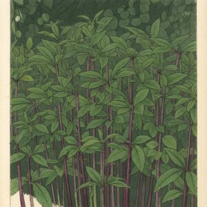 Victorian watercolor illustration of Joe-Pye weed leaves